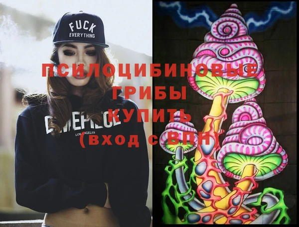 герыч Инта