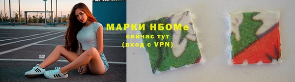 Альфа ПВП Инсар