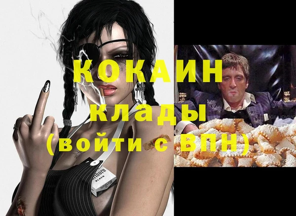 сатива Иннополис