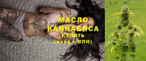 Альфа ПВП Инсар