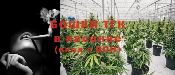 Альфа ПВП Инсар