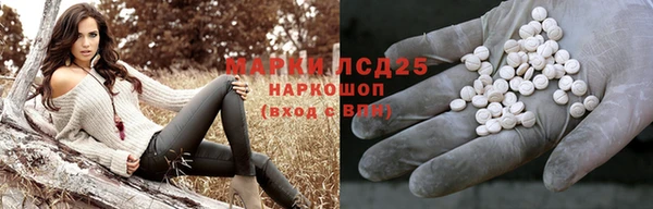 сатива Иннополис