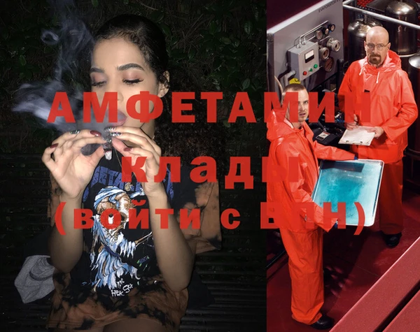 сатива Иннополис