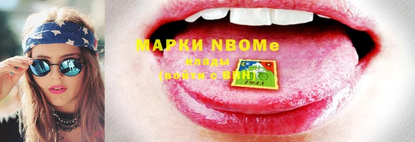 сатива Иннополис