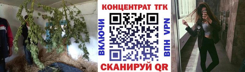 ТГК THC oil  купить закладку  Новый Уренгой 