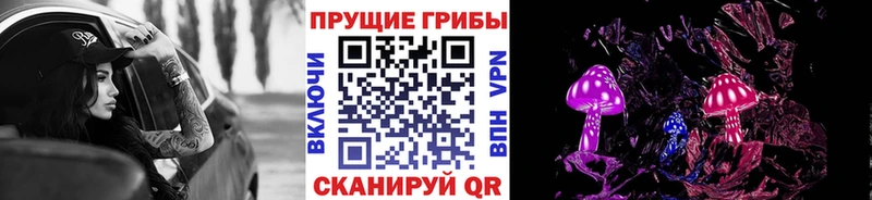 как найти закладки  Новый Уренгой  Псилоцибиновые грибы ЛСД 